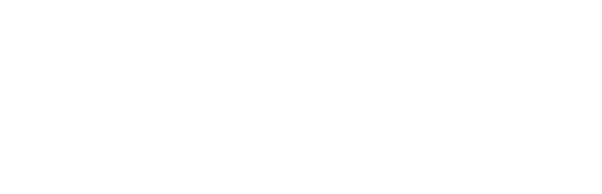 Nexus Intelligence