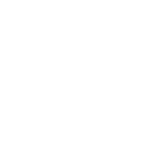 Nexus